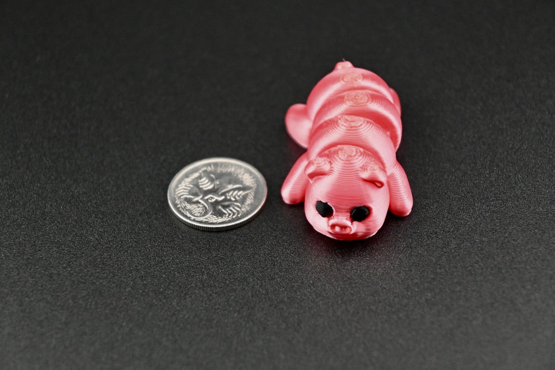 pigs