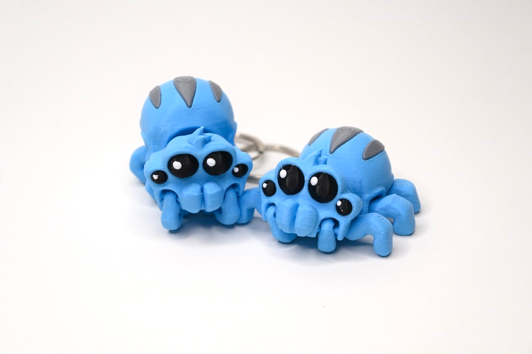 Tarantula spider