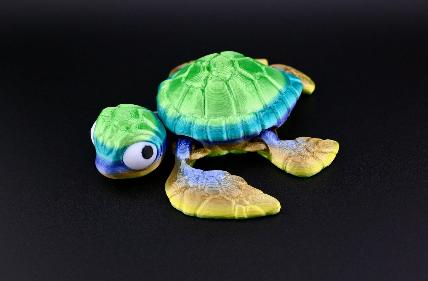 Multi coloured turtle