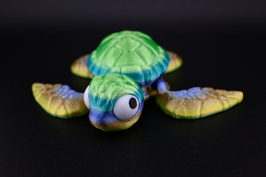 Multi coloured turtle
