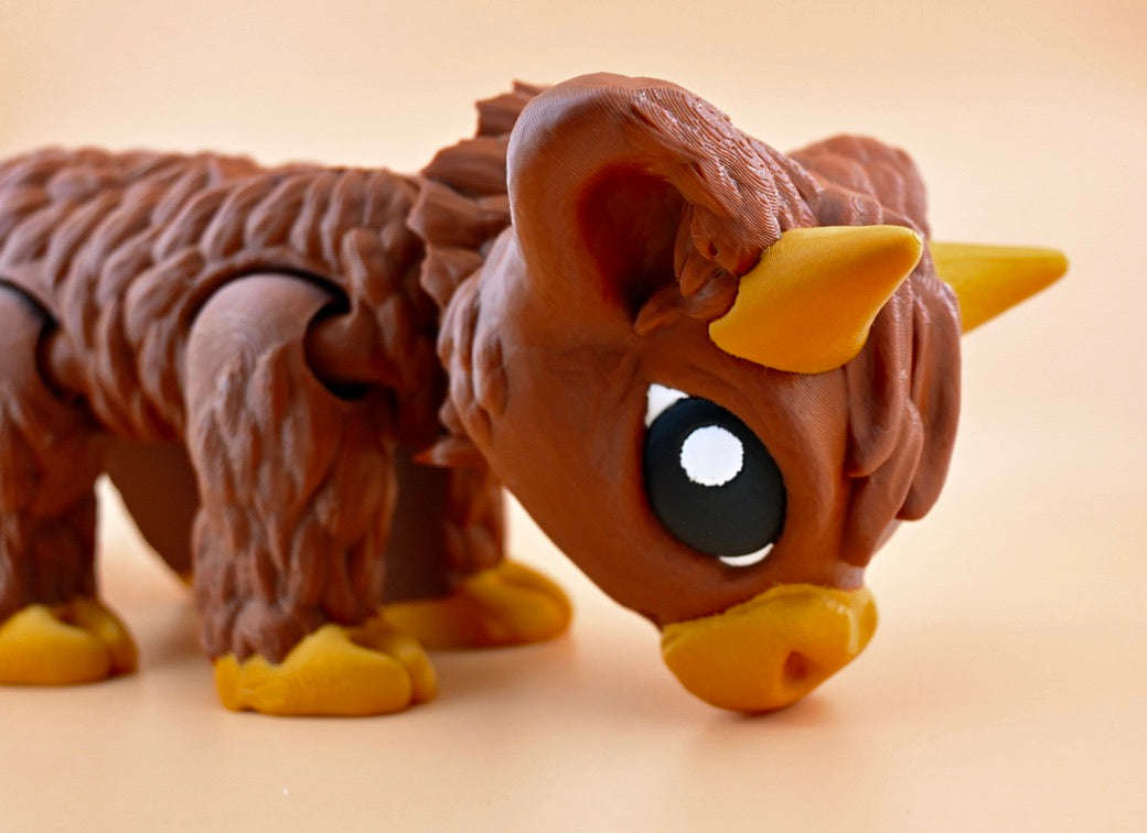 Big highland cow