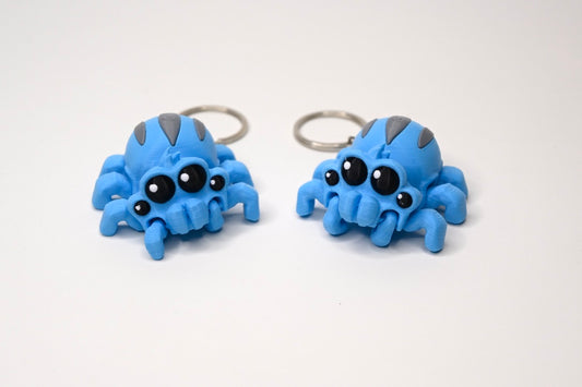 Tarantula spider