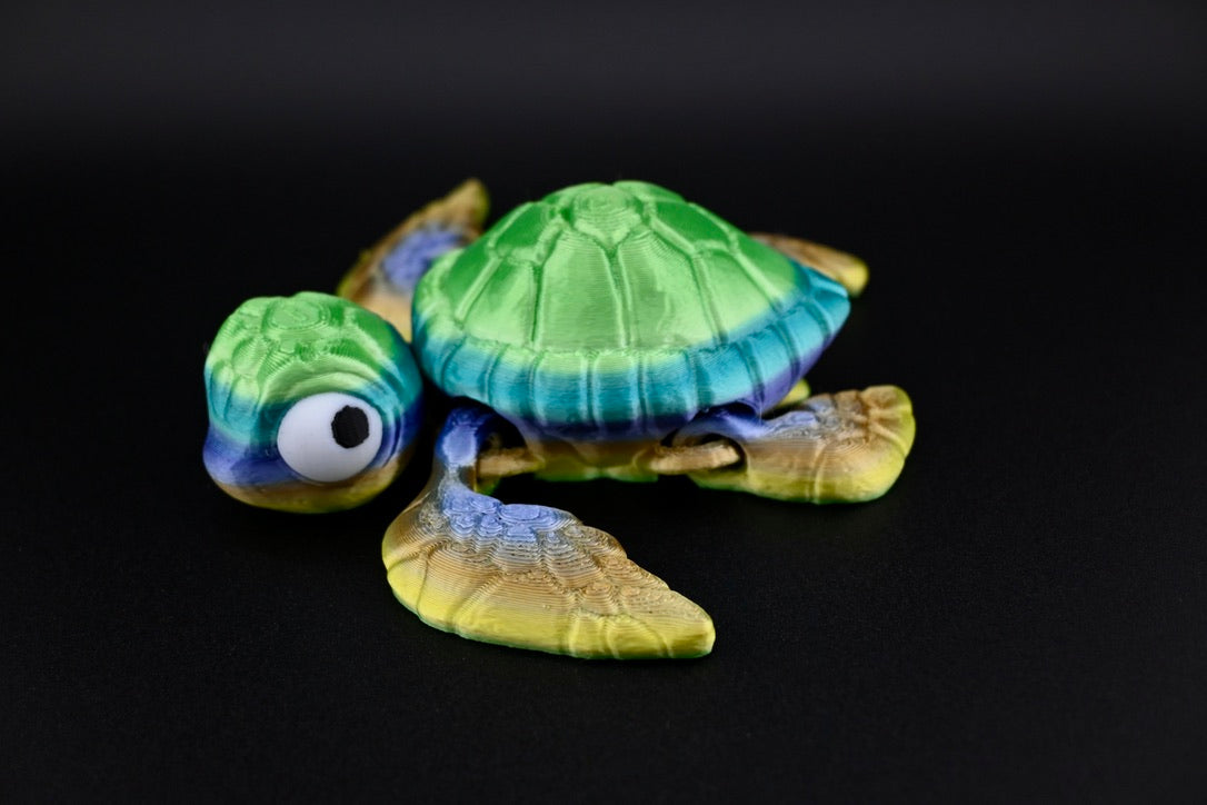 Multi coloured turtle