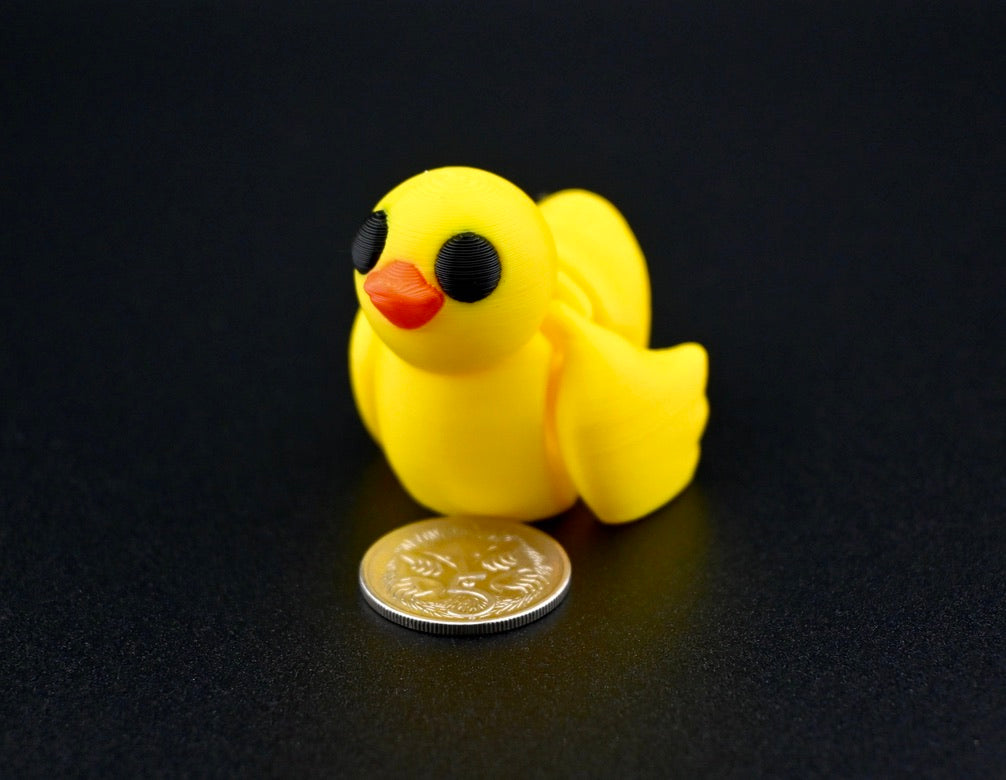 Ducks