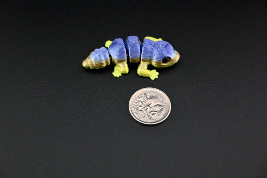 geckos
