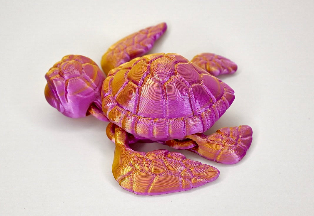 Sea turtles