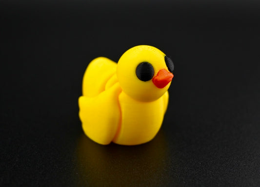 Ducks