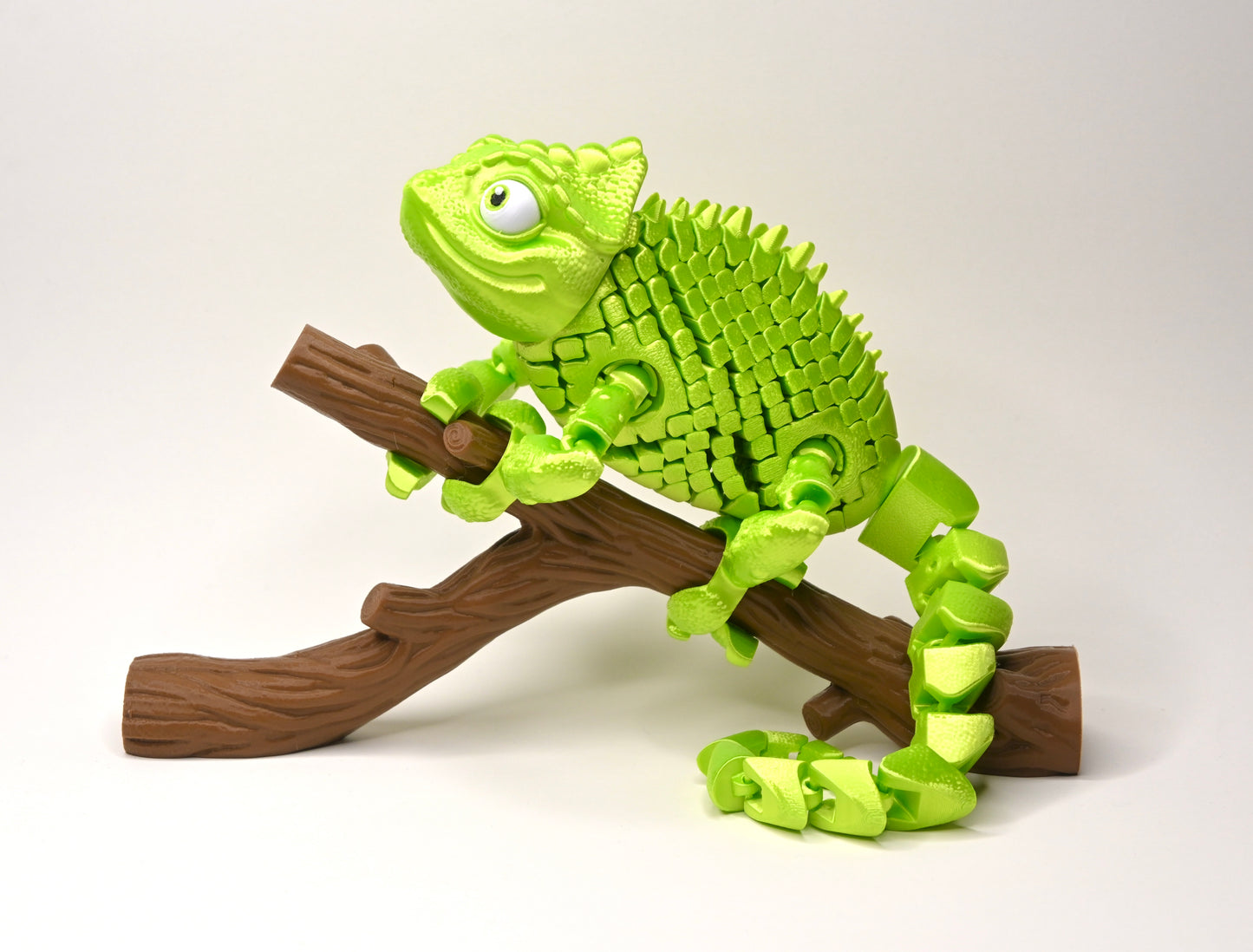 Ziggy the Chameleon