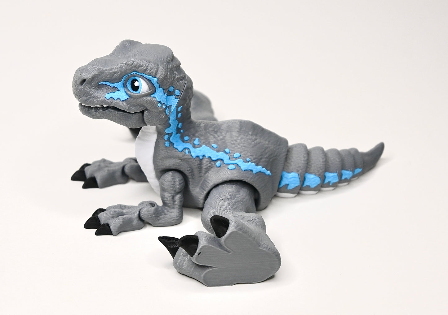 SnapRaptor