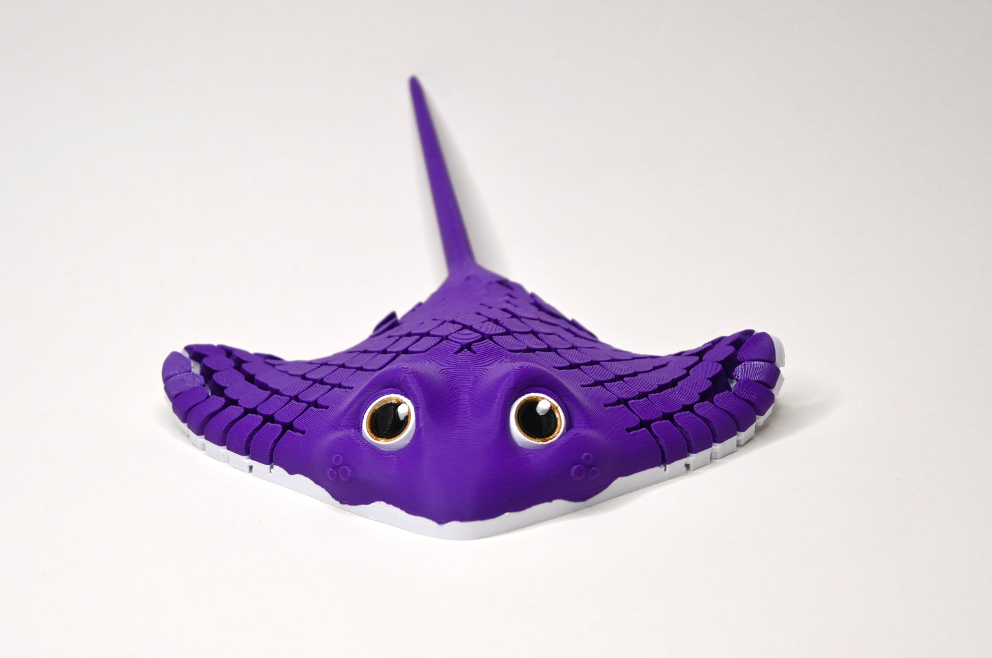 Ray, the Manta Ray