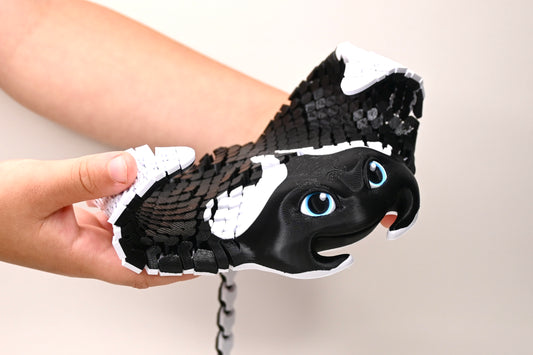 Manny, the Manta Ray