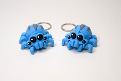 Tarantula spider