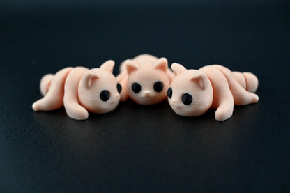 cats