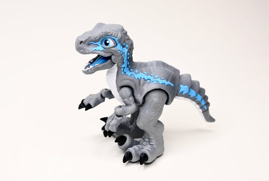 SnapRaptor